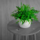 Desain Interior Ramah Lingkungan