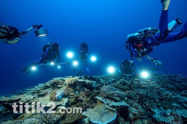 Keajaiban Bawah Laut