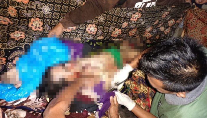 TEROR HARIMAU!!! Warga Pekon Bumi Hantatai Kembali Menjadi Korban