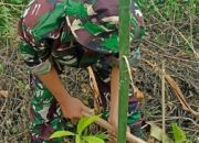 Kesatuan Pemangkuan Hutan (BKPH) Prajekan Ajak Masyarakat Melakukan Giat Reboisasi Penanaman Pohon