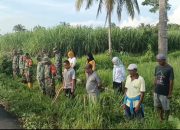 Antisipasi Luapan Air Babinsa Koramil 0822/09 Pujer Gotong Royong Bersihkan Saluran Irigasi Dan Jalan