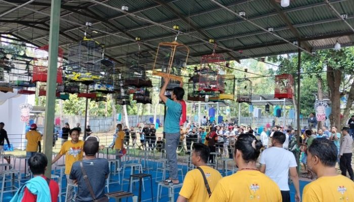 Kapolres Cup IV Bondowoso Gelar Pameran dan Lomba Burung