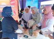 Dinas Pertenakan Dan Perikanan Situbondo, Adakan Vaksinasi Hewan Peliharaan