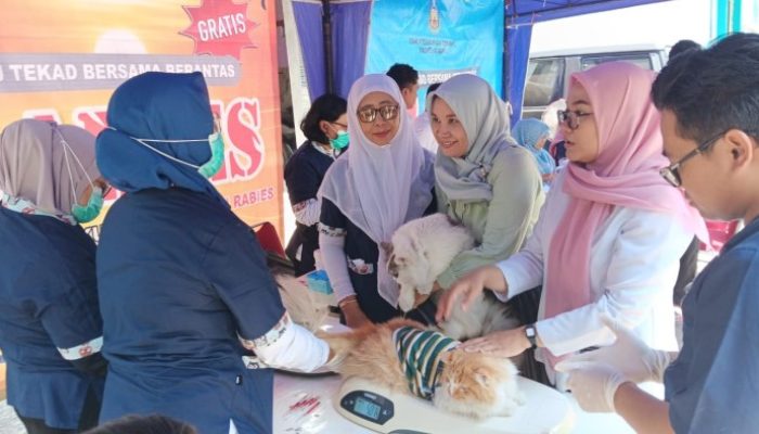 Dinas Pertenakan Dan Perikanan Situbondo, Adakan Vaksinasi Hewan Peliharaan