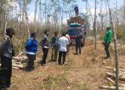 KPH Bondowoso Melakukan Pemeriksaan Kelokasi Tebang Habis Jati Dan Sengon Laut ke Petak 68E Dan 68B-1 RPH Tegalampel BKPH Klabang.