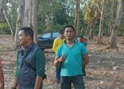 Dua Orang Kasi Madya Perhutani Bondowoso Cek Tebang Habis Jati
