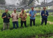 Direksi Perum Perhutani mengadakan pemeriksaan ke lokasi Persemaian Di Wilayah Kerja Perhutani KPH Bondowoso,