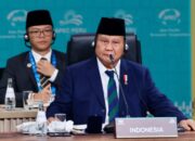 Presiden RI Prabowo Subianto, Menegaskan Komitmen Indonesia untuk APEC