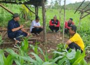 MISBAKHUL MUNIR DAN ANTON SUJARWO, ADAKAN PEMERIKSAAN LOKASI TANAMAN KE BKPH SUMBER WRINGIN