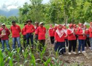 Peduli Lingkungan Dan Sedekah Oksigen, IIK Perhutani Ranting BKPH Panarukan Gelar Tanam Pohon Bersama