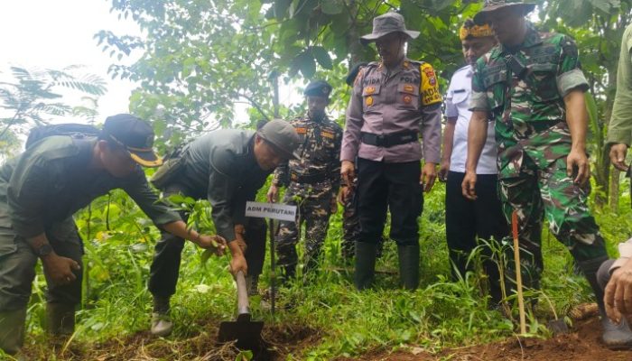 UNTUK MELESTARIKAN HUTAN, PERHUTANI BONDOWOSO GANDENG FORKOPIMCAM BINAKAL GELAR PENANAMAN POHON BERSAMA