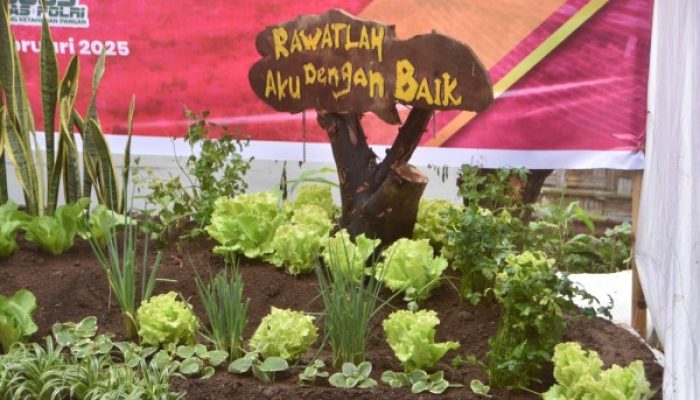 Kapolres Bondowoso Launching Penguatan Program Pekarangan Pangan Lestari Di Bumi Curahdami Bondowoso