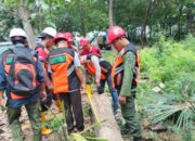 WAKIL ADMINISTRATUR PERHUTANI KSKPH BONDOWOSO UTARA, GELAR CUTTING TEST TEBANGAN JATI TAHUN 2025
