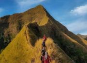 ADM PERHUTANI BONDOWOSO UMUMKAN LARANGAN PENDAKIAN GUNUNG SAENG, PIRAMID DAN GULGULAN