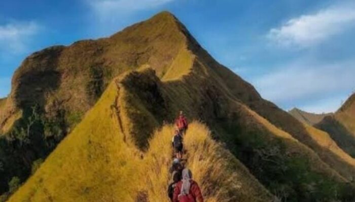 ADM PERHUTANI BONDOWOSO UMUMKAN LARANGAN PENDAKIAN GUNUNG SAENG, PIRAMID DAN GULGULAN