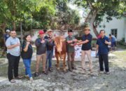 PERUM PERHUTANI KPH BONDOWOSO BAGIKAN DAGING QURBAN UNTUK FAQIR MISKIN