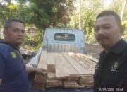 Perhutani Amankan 3 Tersangka dan Kayu Olahan Hasil Ilegal Loging