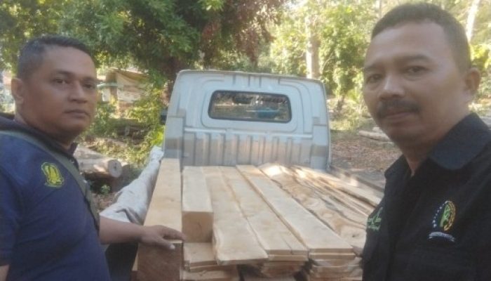 Perhutani Amankan 3 Tersangka dan Kayu Olahan Hasil Ilegal Loging