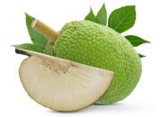 buah sukun
