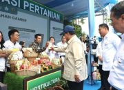 Presiden Prabowo Umumkan Keberhasilan Swasembada Pangan Nasional 2025 dalam Kunjungan Kerja ke Karawang