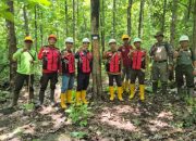 Perhutani KPH Bondowoso Dukung Verifikasi Aset Biologis dan Pengecekan Sarpras oleh KJPP