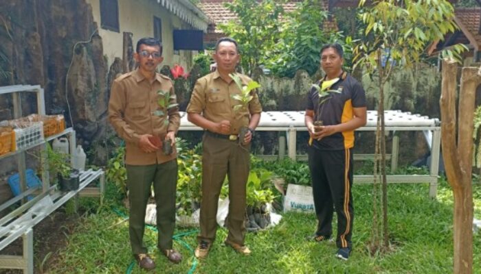 Perhutani KPH Bondowoso Serahkan Bibit Pohon ke Polres untuk Ruang Terbuka Hijau