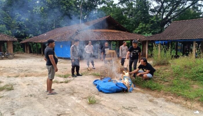 Tindak Tegas! Polres Ponorogo Bubarkan 3 Titik Judi Sabung Ayam dan Dadu