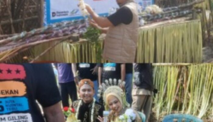 Tradisi Petik Tebu Manten 2026 PG Pradjekan Berlangsung Khidmat, Doa Bersama Iringi Harapan Musim Giling Lancar
