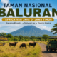 Baluran Situbondo