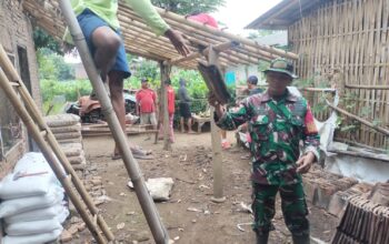 Tak Biarkan Warga Berjuang Sendiri, Babinsa Dadapan Bersama Warga Perbaiki Rumah Ibu Sutija