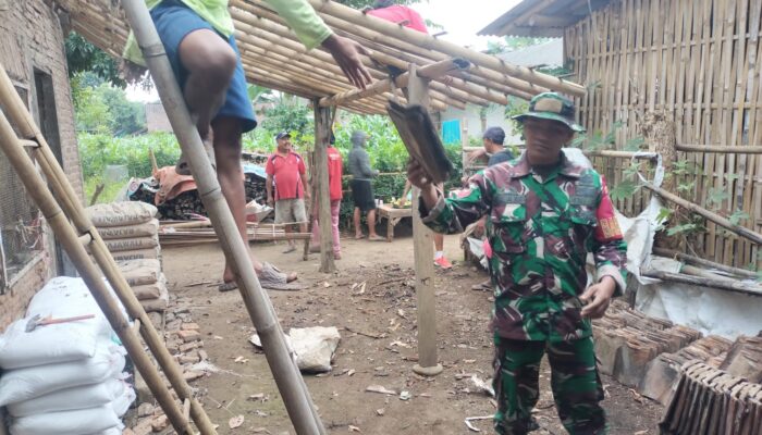Tak Biarkan Warga Berjuang Sendiri, Babinsa Dadapan Bersama Warga Perbaiki Rumah Ibu Sutija