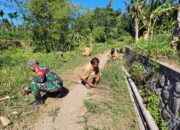 Perkuat Semangat Gotong Royong, Babinsa Serka Patut Heru P. Bersama Perangkat Desa Sumber Salak Gelar Kerja Bakti
