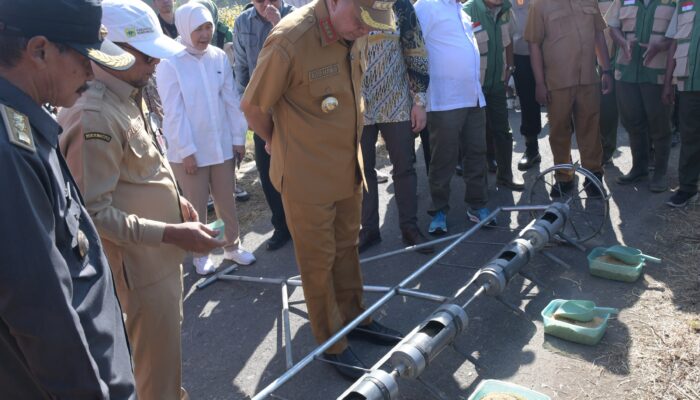 Bondowoso Jadi Percontohan Nasional Pertanian Organik, Kementerian Turun Langsung! Perkuat Ketahanan Pangan Indonesia