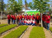 Perhutani KPH Bondowoso Laksanakan Tebar Benih Pinus Serentak di BKPH Sukosari