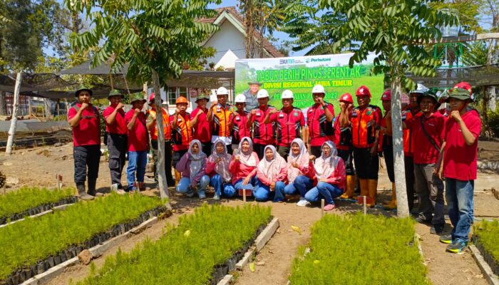 Perhutani KPH Bondowoso Laksanakan Tebar Benih Pinus Serentak di BKPH Sukosari