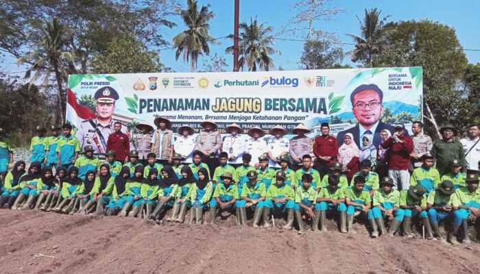 Perhutani KPH Bondowoso Dukung Penanaman Jagung Bersama untuk Perkuat Ketahanan Pangan